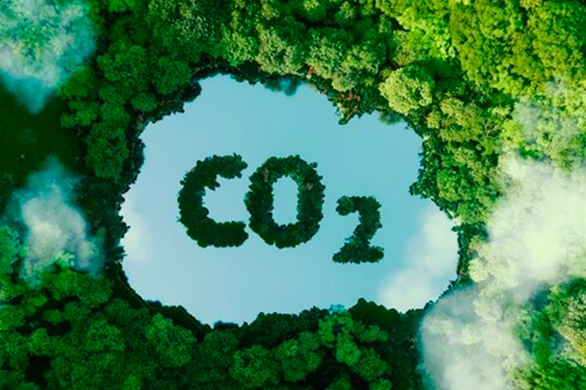 SEG_CO2 TLBE_2020_Tube_Poster